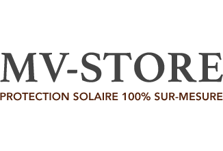 MV-Store